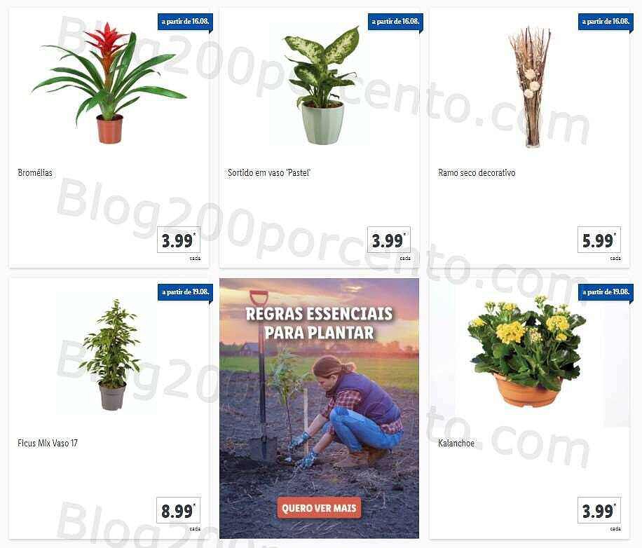 01 Promoções-Descontos-41533.jpg