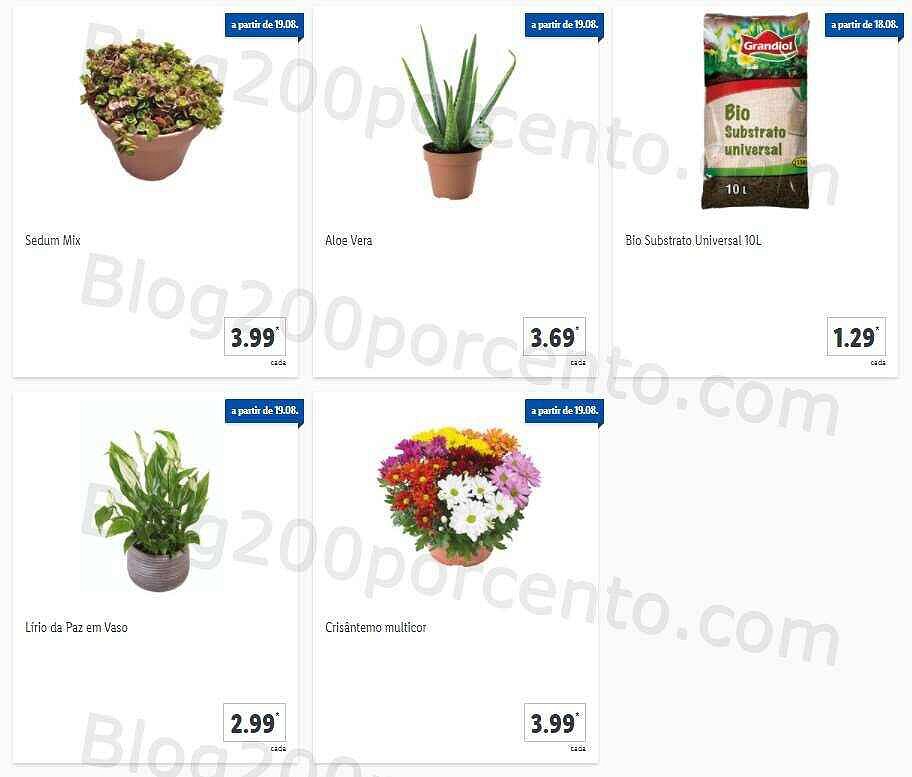 01 Promoções-Descontos-41534.jpg