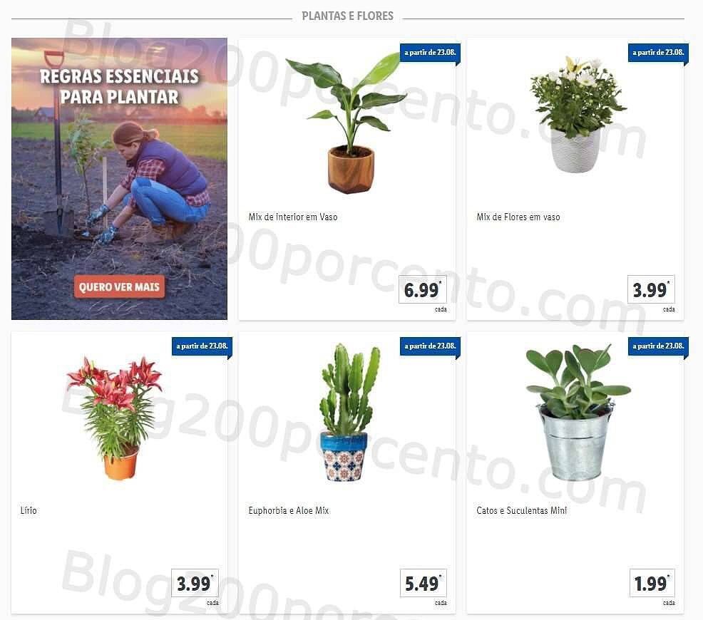 01 Promoções-Descontos-41575.jpg