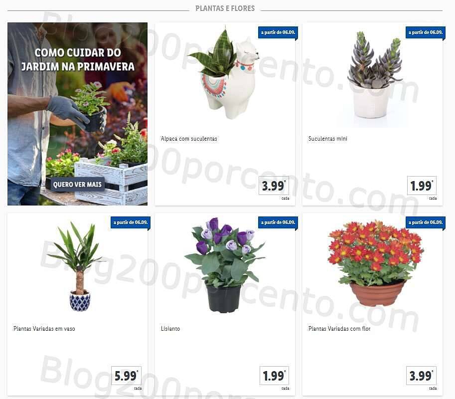 01 Promoções-Descontos-41742.jpg