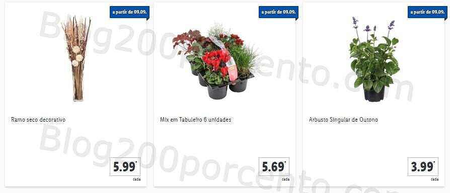 01 Promoções-Descontos-41744.jpg