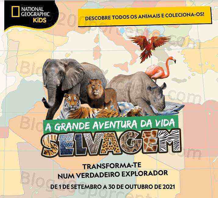 01 Promoções-Descontos-41751.jpg