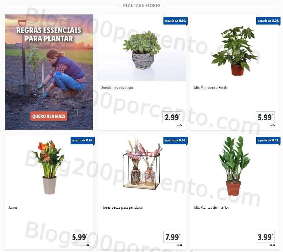 01 Promoções-Descontos-41822.jpg