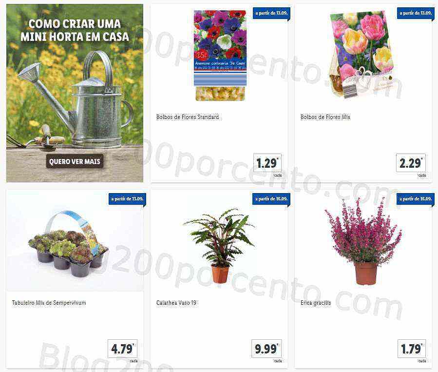 01 Promoções-Descontos-41823.jpg