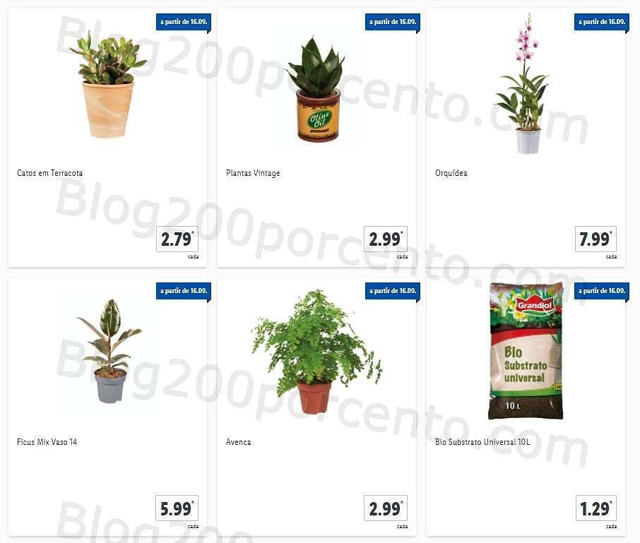 01 Promoções-Descontos-41824.jpg