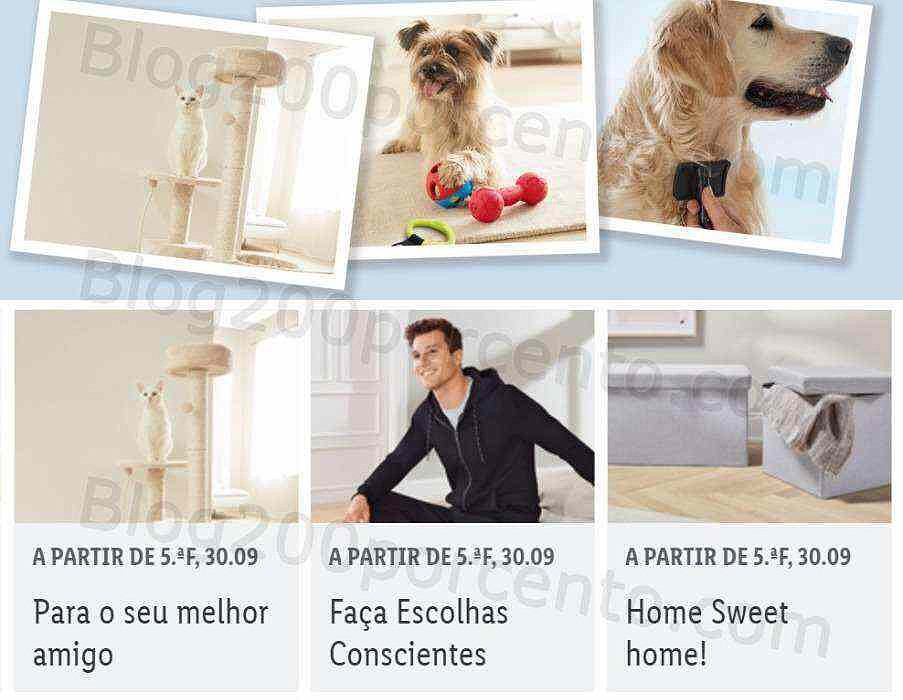 30 outubro bazar.jpg