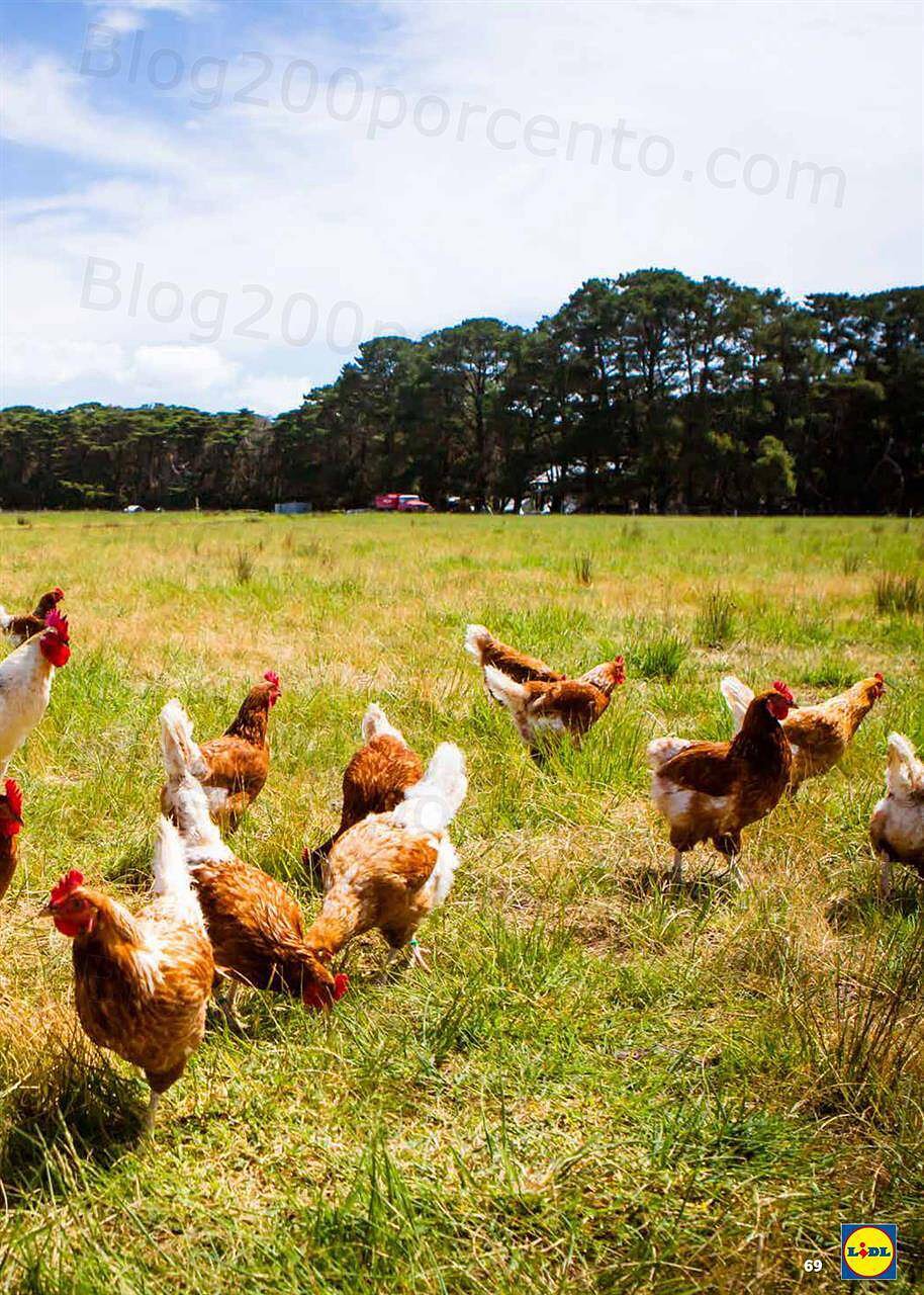 Carne-do-Lidl-A-partir-de-24-05