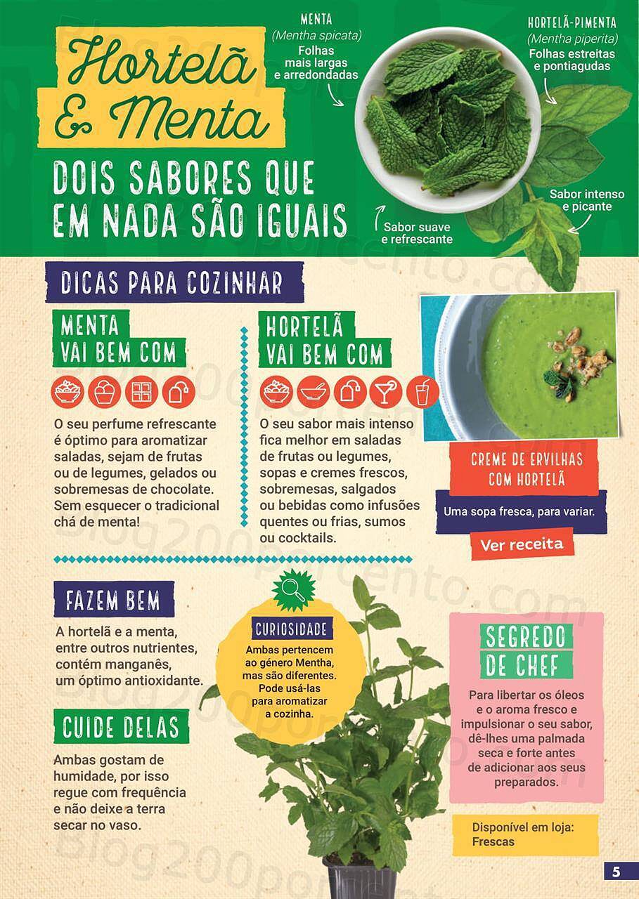 guia-juliana-ervas-aromaticas-sabe-bem-05.jpg