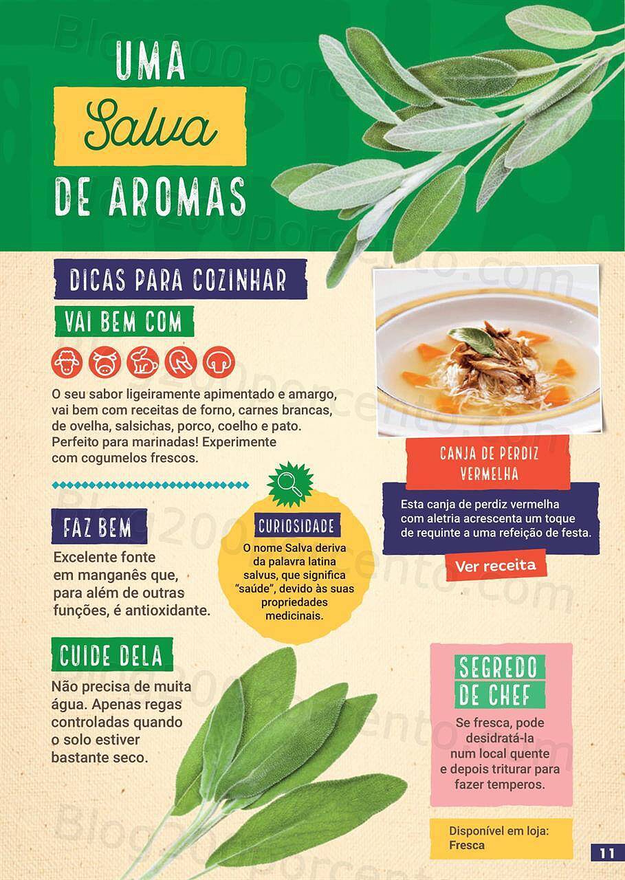 guia-juliana-ervas-aromaticas-sabe-bem-11.jpg