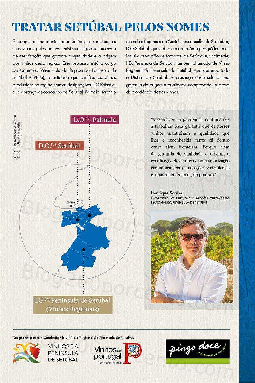 pingo doce vinhos-05.jpg