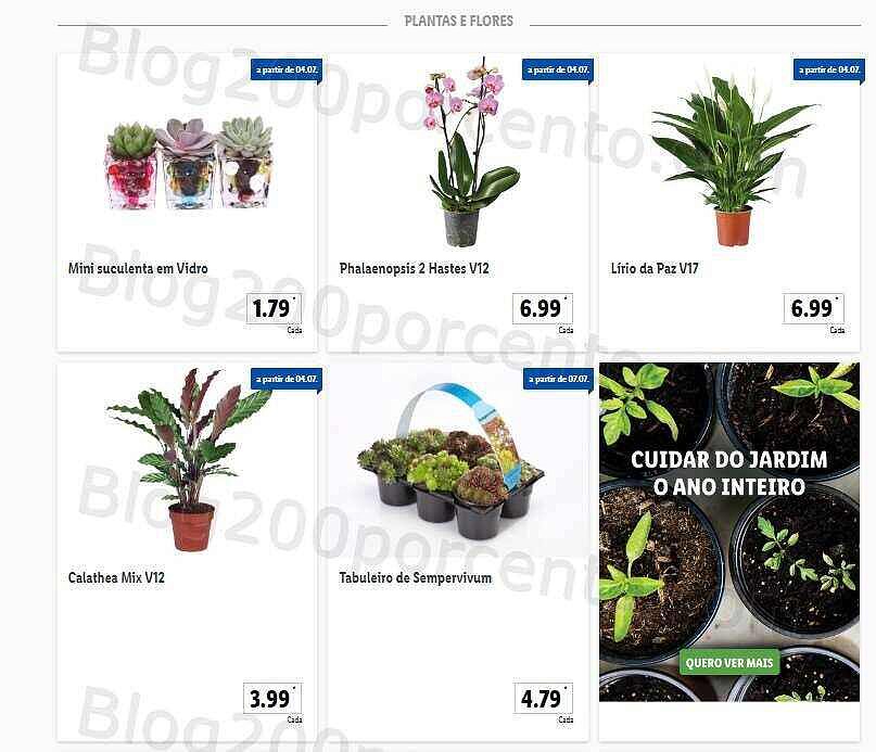 01 Promoções-Descontos-44137.jpg