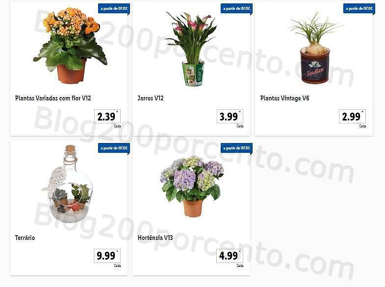 01 Promoções-Descontos-44138.jpg