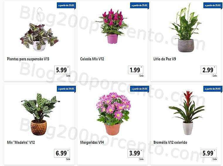 01 Promoções-Descontos-44356.jpg