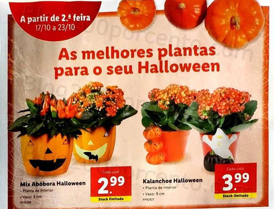 01 Promoções-Descontos-45434.jpg