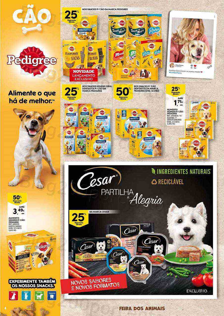 Feira Pets Continente-4.jpg