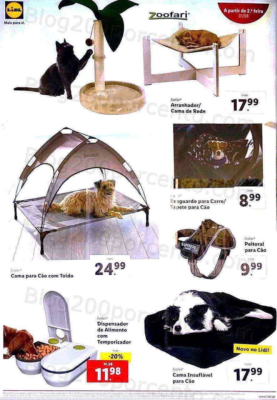 Lidl bazar 1 agosto_1.jpg