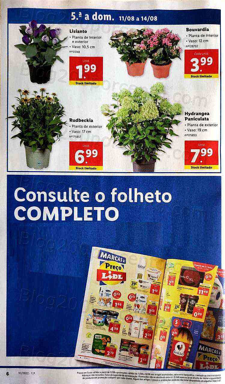 antevisão-folheto-lidl-8-a-14-agosto_last.jpg