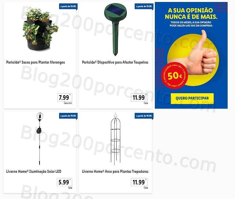 bazar_19_setembro (7).jpg