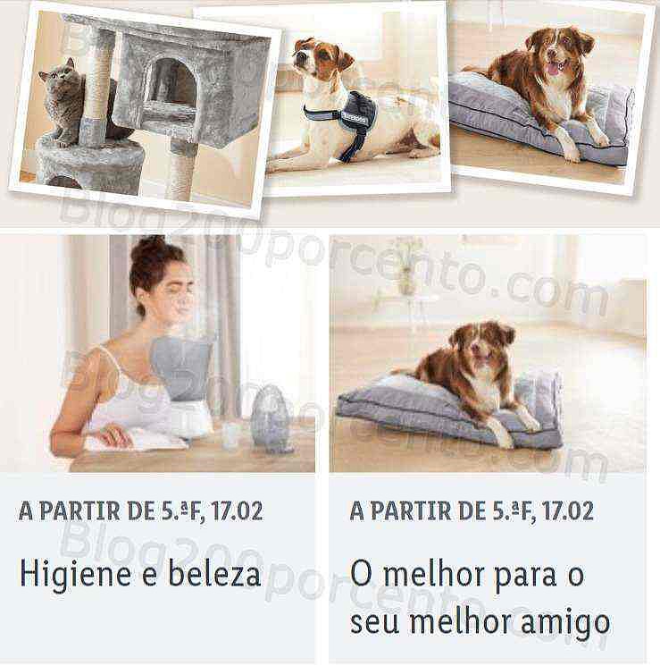 lidl bazar 17 fevereiro.jpg