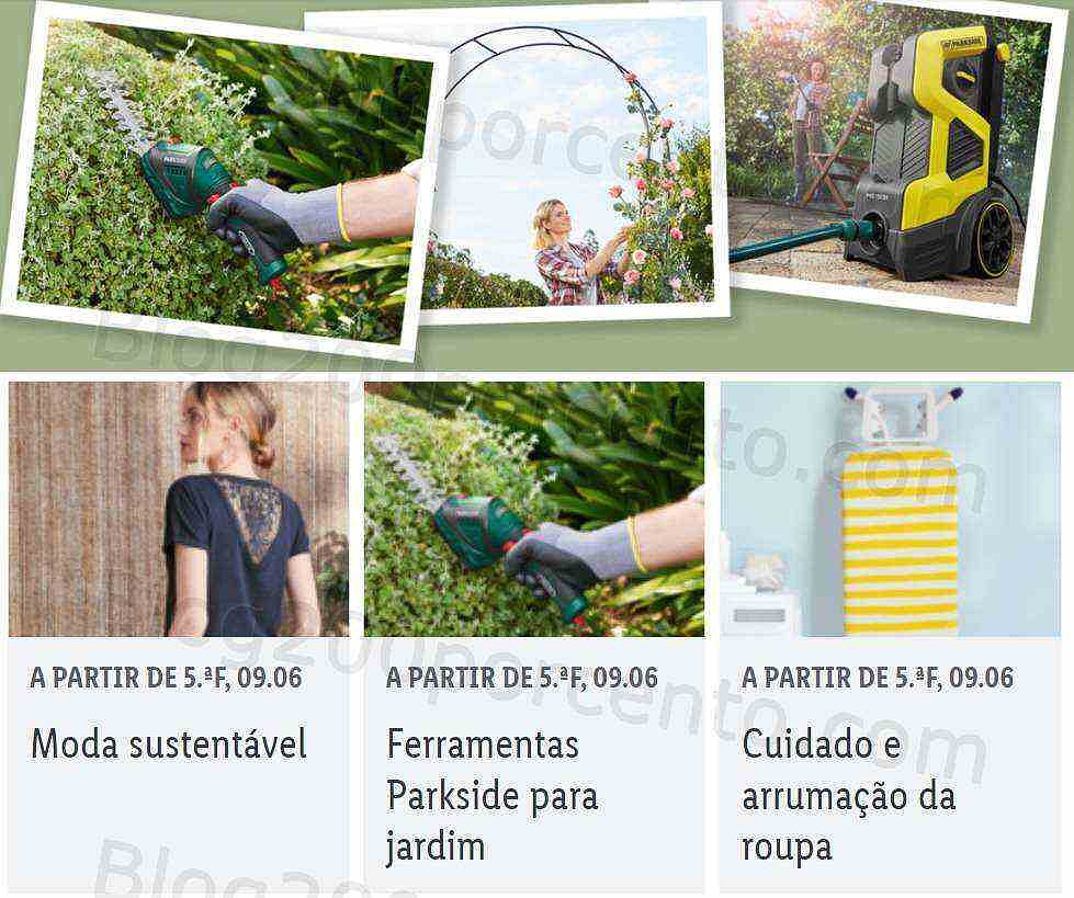 lidl bazar 9 junho.jpg