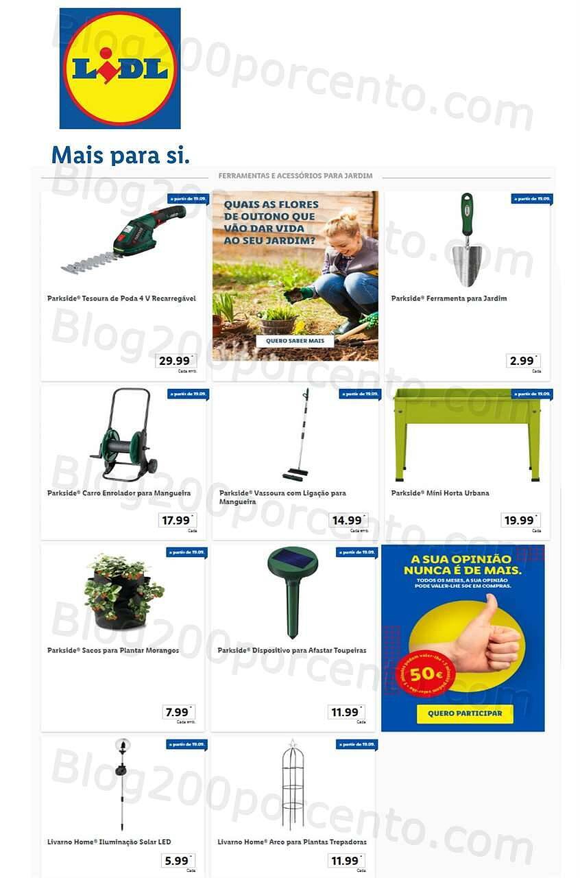 lidl_bazar_jardim_19_setembro.jpg