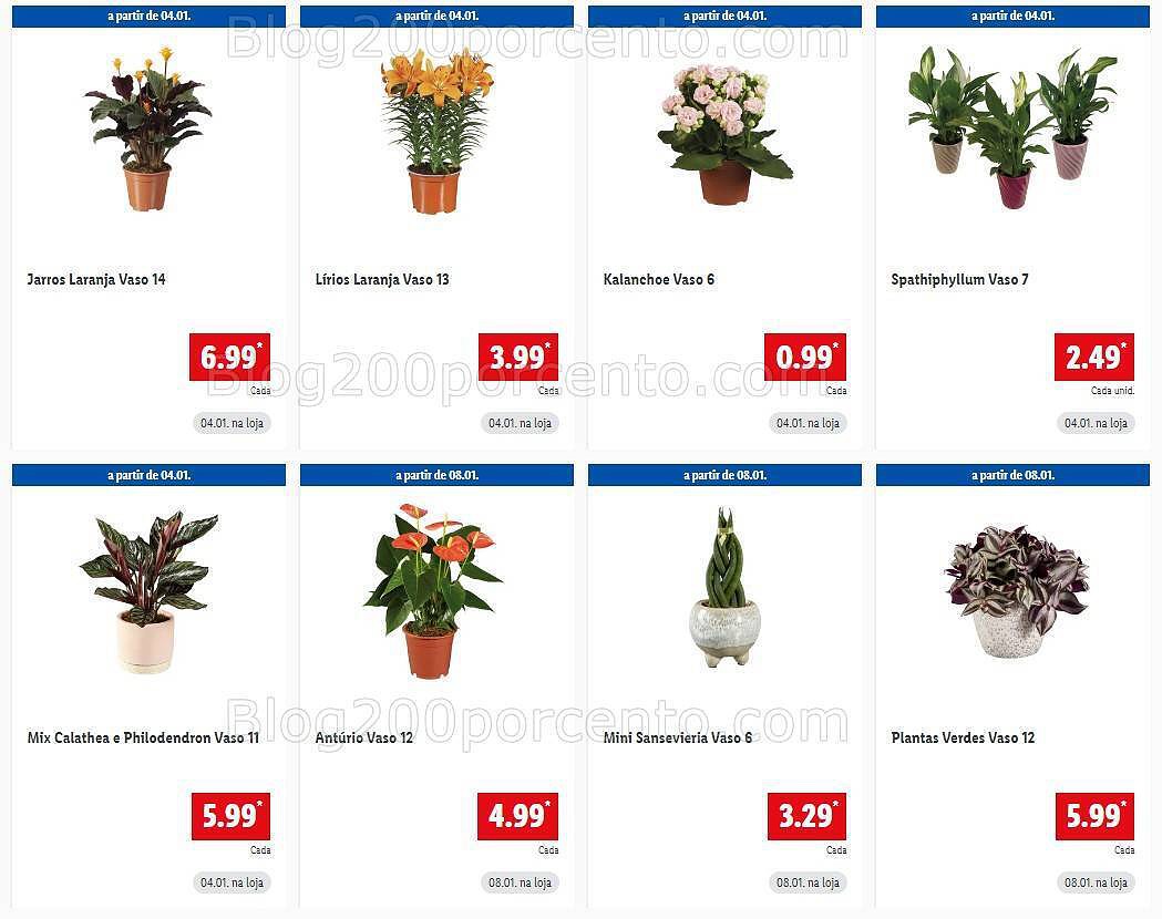 01 Promoções-Descontos-50313.jpg