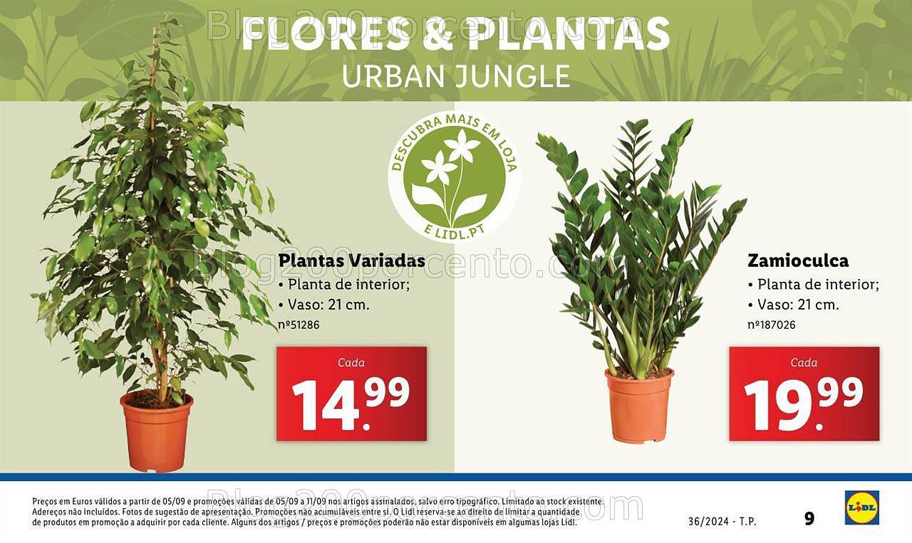 plantas_Novidades-A-partir-de-05-09-01-09.jpg