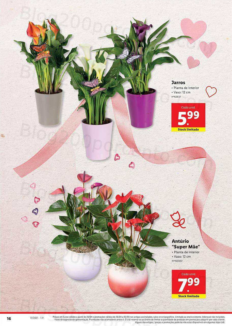 Dia-da-Mae-A-partir-de-26-04