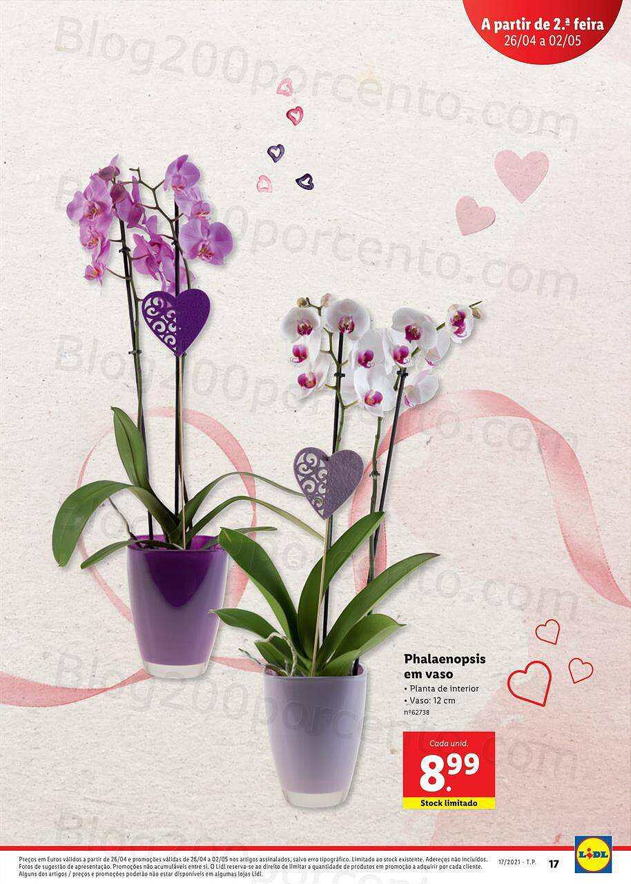 Dia-da-Mae-A-partir-de-26-04