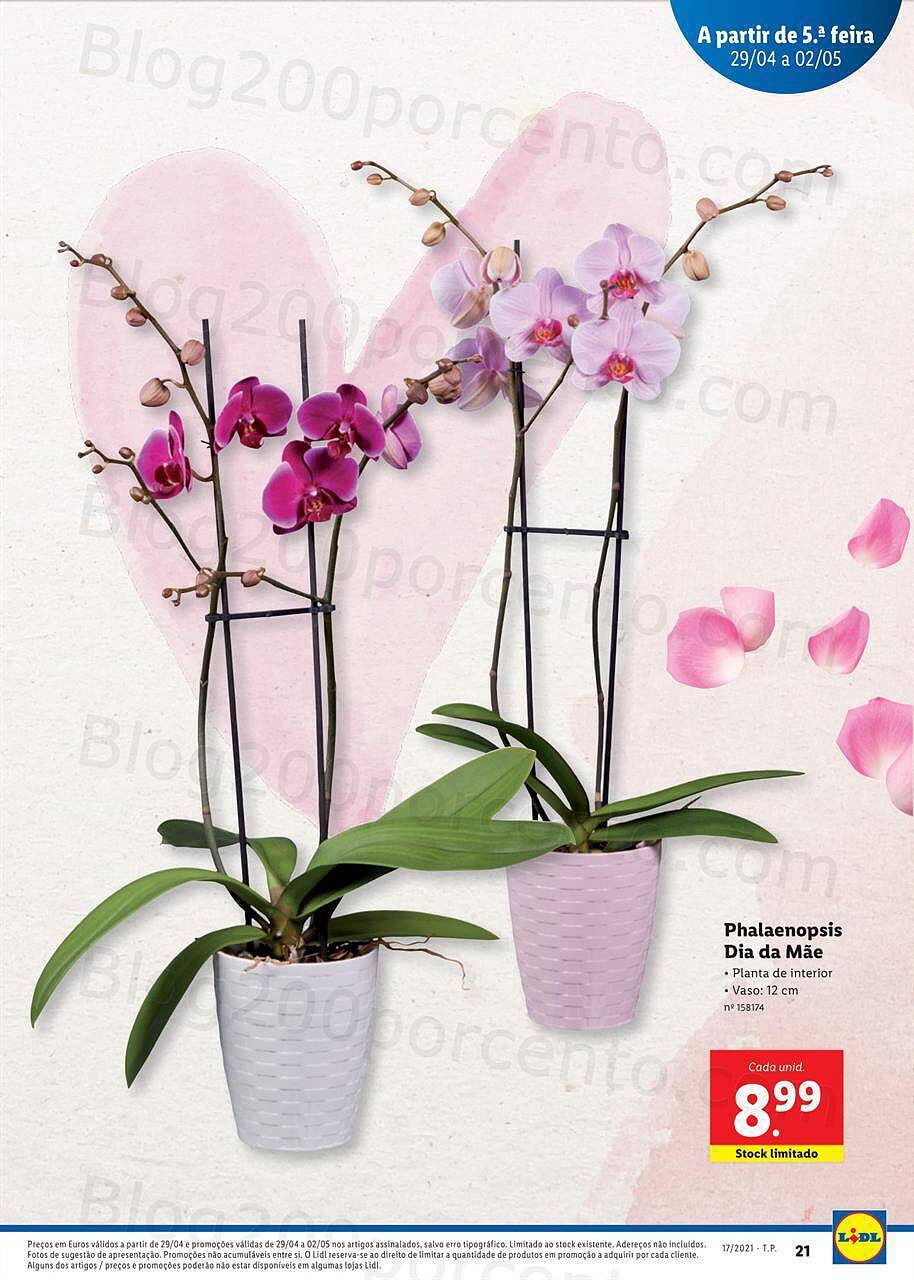 Dia-da-Mae-A-partir-de-26-04