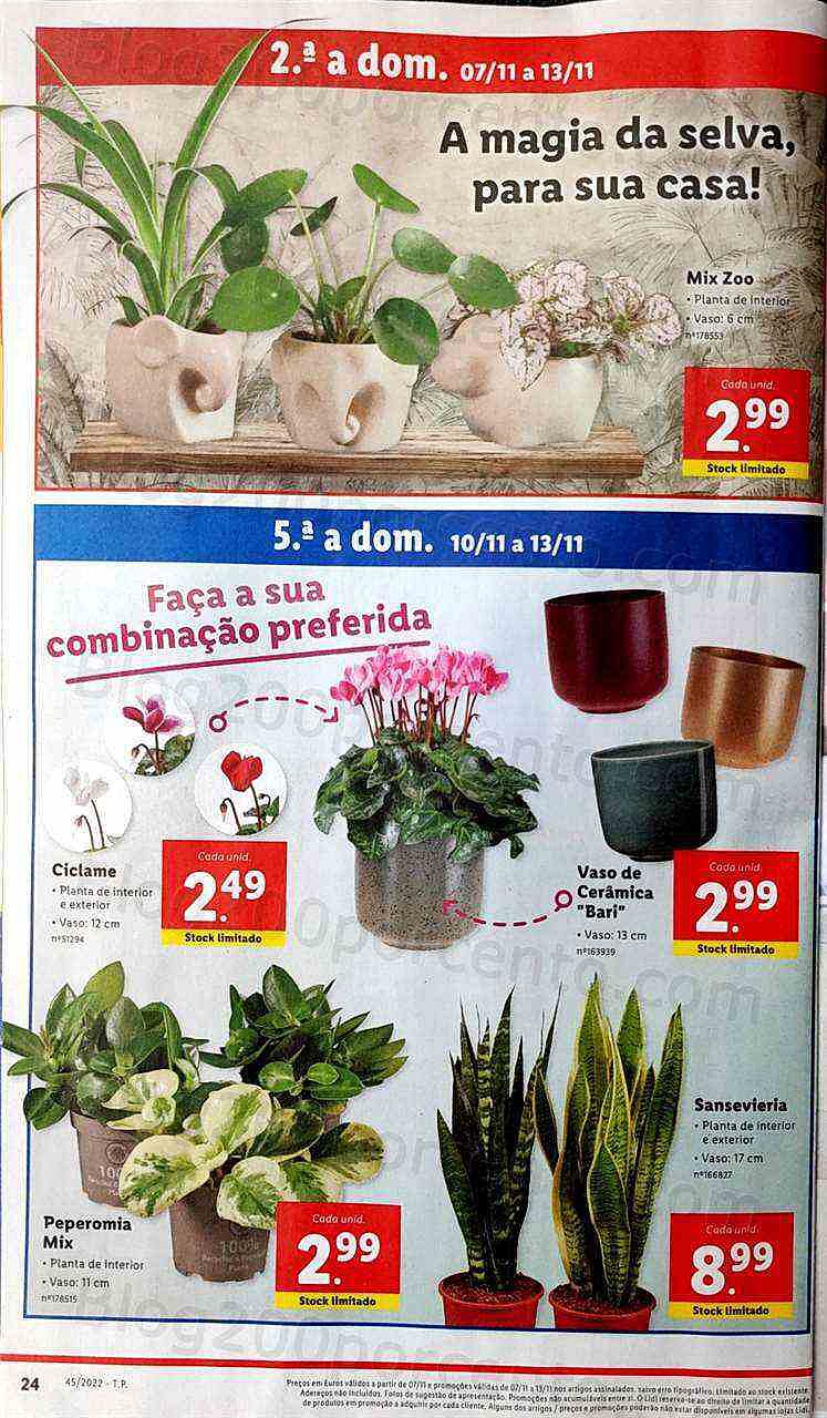 Antevisão Folheto LIDL Promoções de 7 a 13 novembro