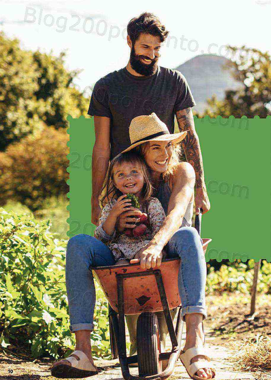 Antevisão Folheto LIDL Novidades Promoções a partir de 7 novembro