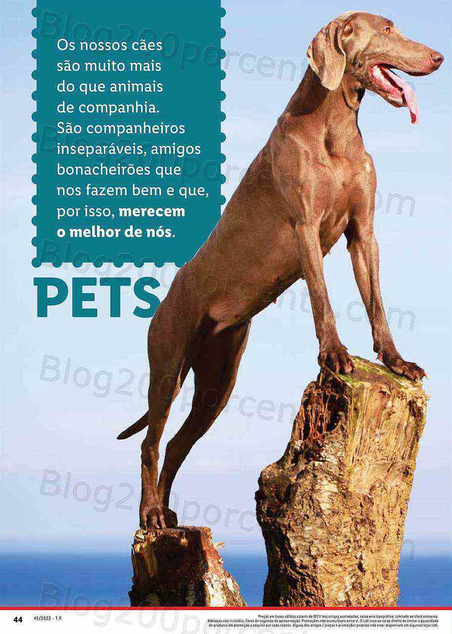 Antevisão Folheto LIDL Novidades Promoções a partir de 7 novembro