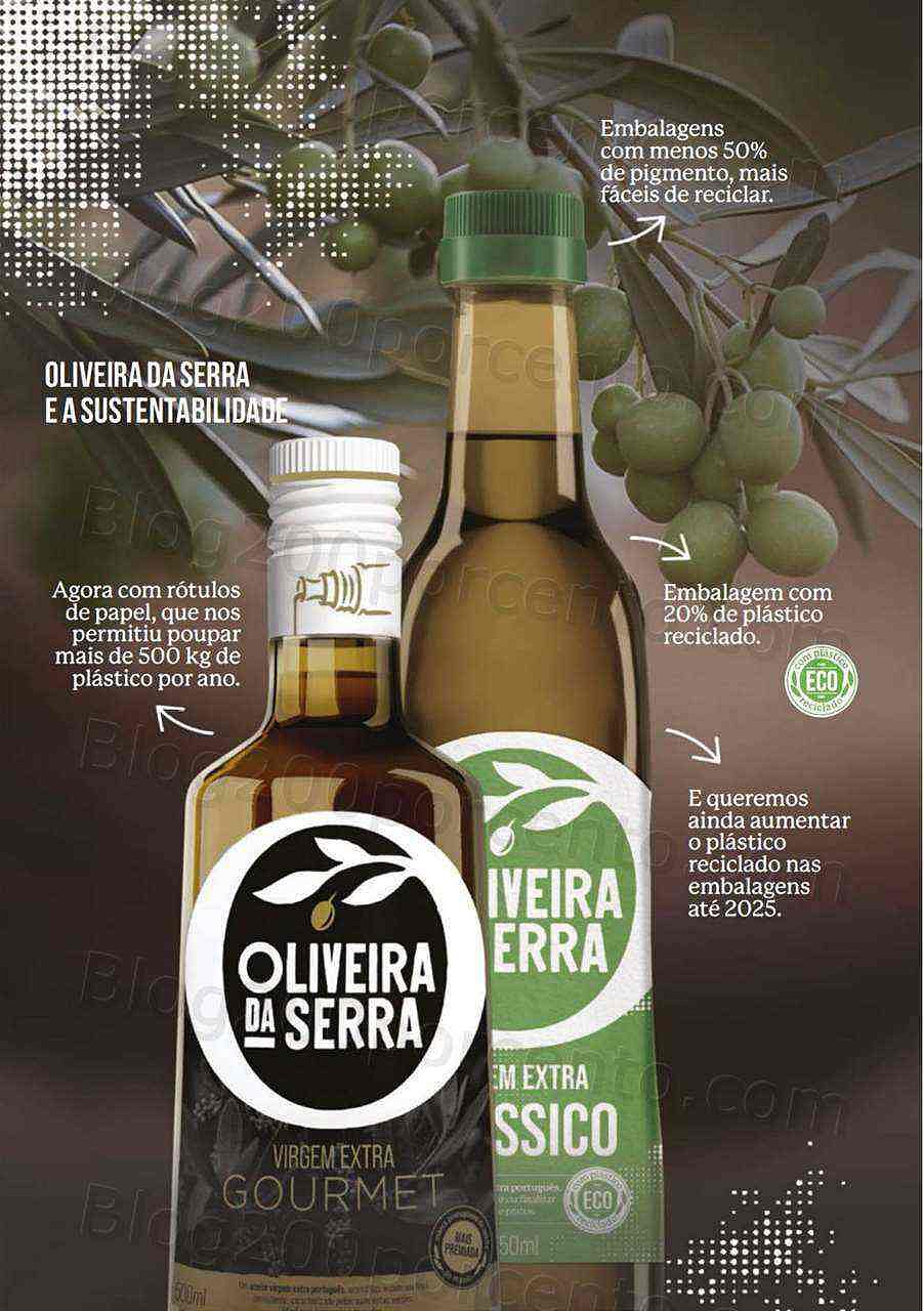 Antevisão Folheto CONTINENTE Guia do Azeite Promoções de 15 novembro a 29 janeiro