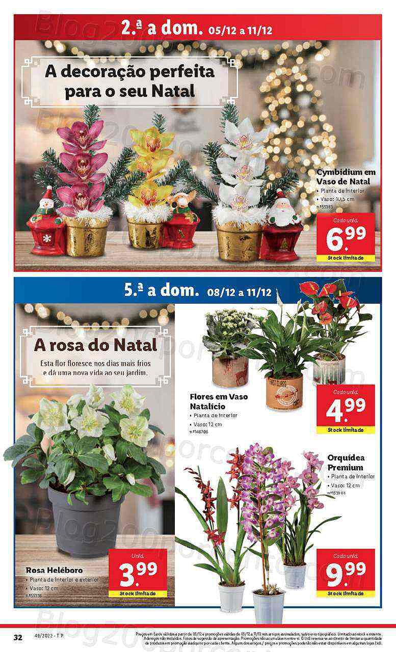 Antevisão Folheto LIDL Mercado de Plantas Promoções de 5 a 11 dezembro
