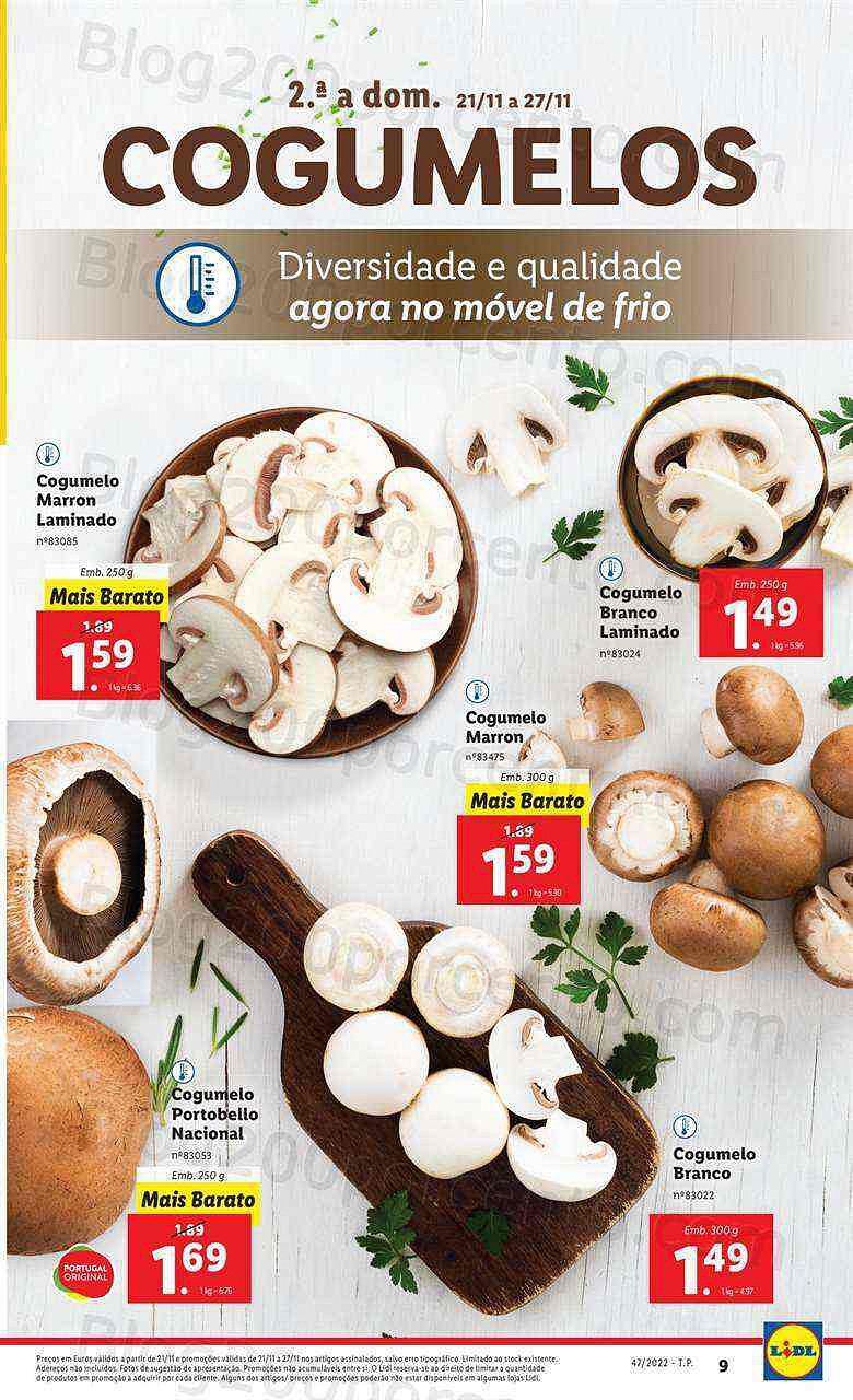 Antevisão Folheto LIDL Promoções de 21 a 27 novembro - Edição Digital