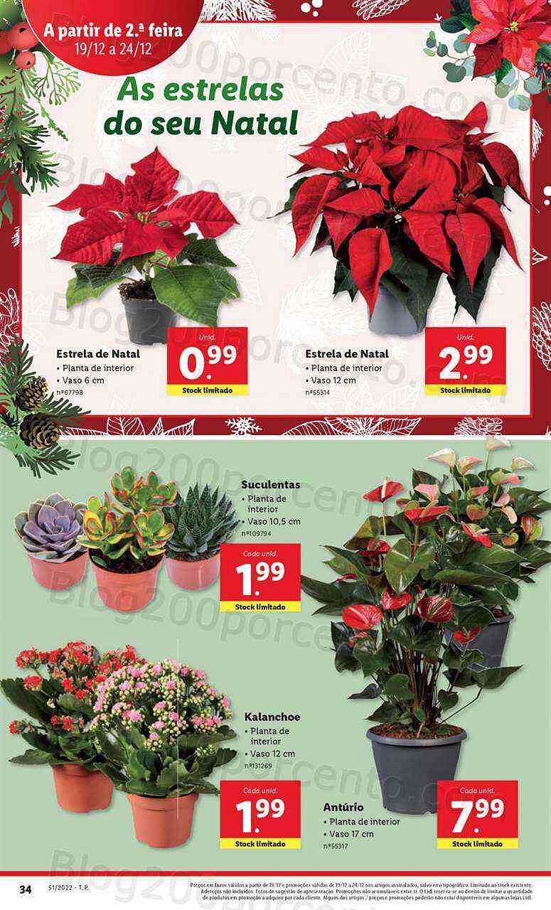 Antevisão Folheto LIDL Promoções de 19 a 24 dezembo - Edição Digital e Completa