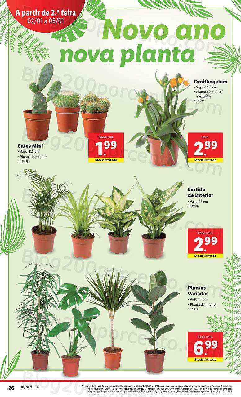 Antevisão Folheto LIDL Promoções de 2 a 8 janeiro