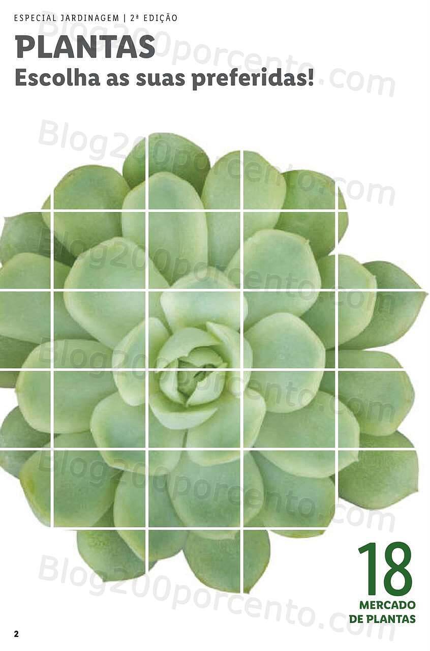 Antevisão Folheto LIDL Jardinagem Mercado de Plantas 4 abril