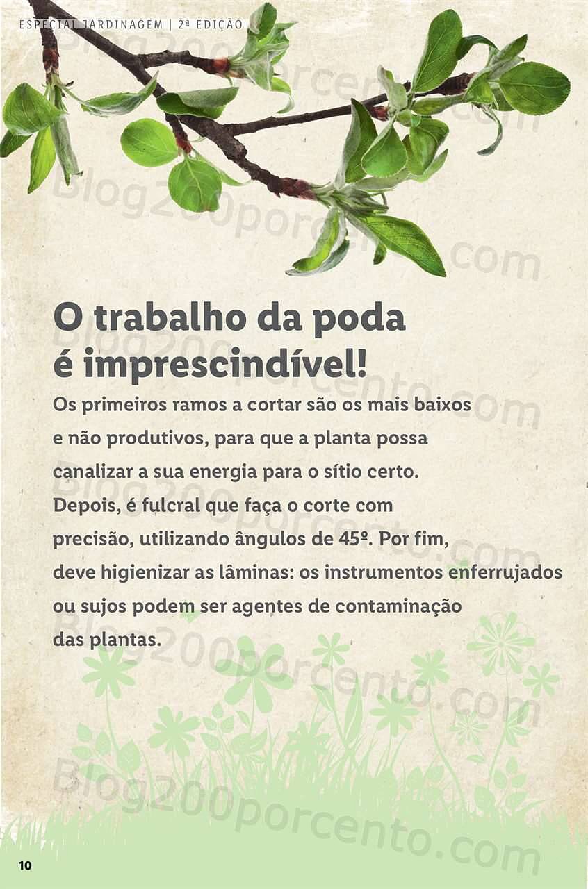 Antevisão Folheto LIDL Jardinagem Mercado de Plantas 4 abril