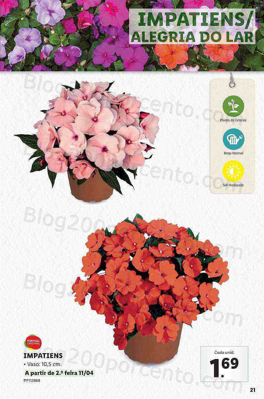 Antevisão Folheto LIDL Jardinagem Mercado de Plantas 4 abril