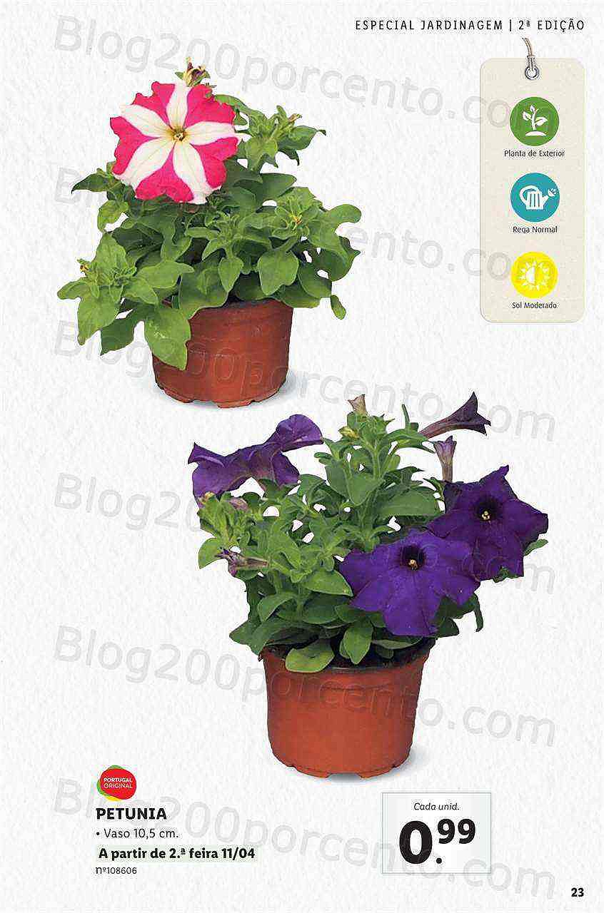 Antevisão Folheto LIDL Jardinagem Mercado de Plantas 4 abril
