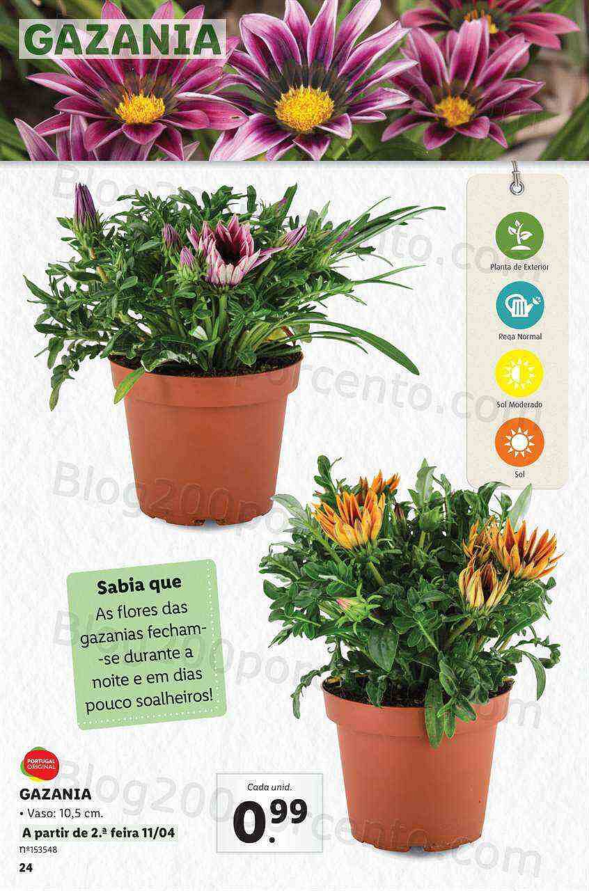 Antevisão Folheto LIDL Jardinagem Mercado de Plantas 4 abril