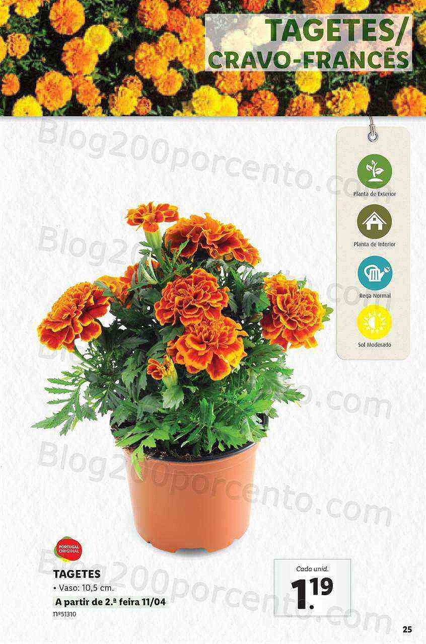 Antevisão Folheto LIDL Jardinagem Mercado de Plantas 4 abril
