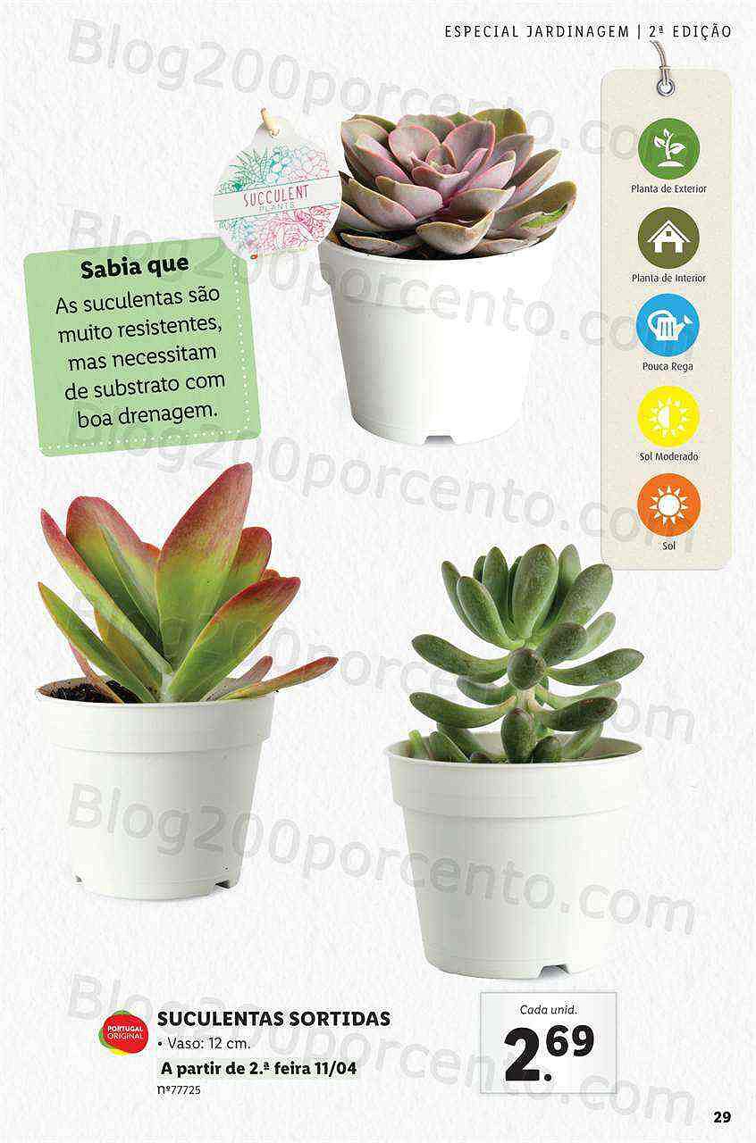 Antevisão Folheto LIDL Jardinagem Mercado de Plantas 4 abril