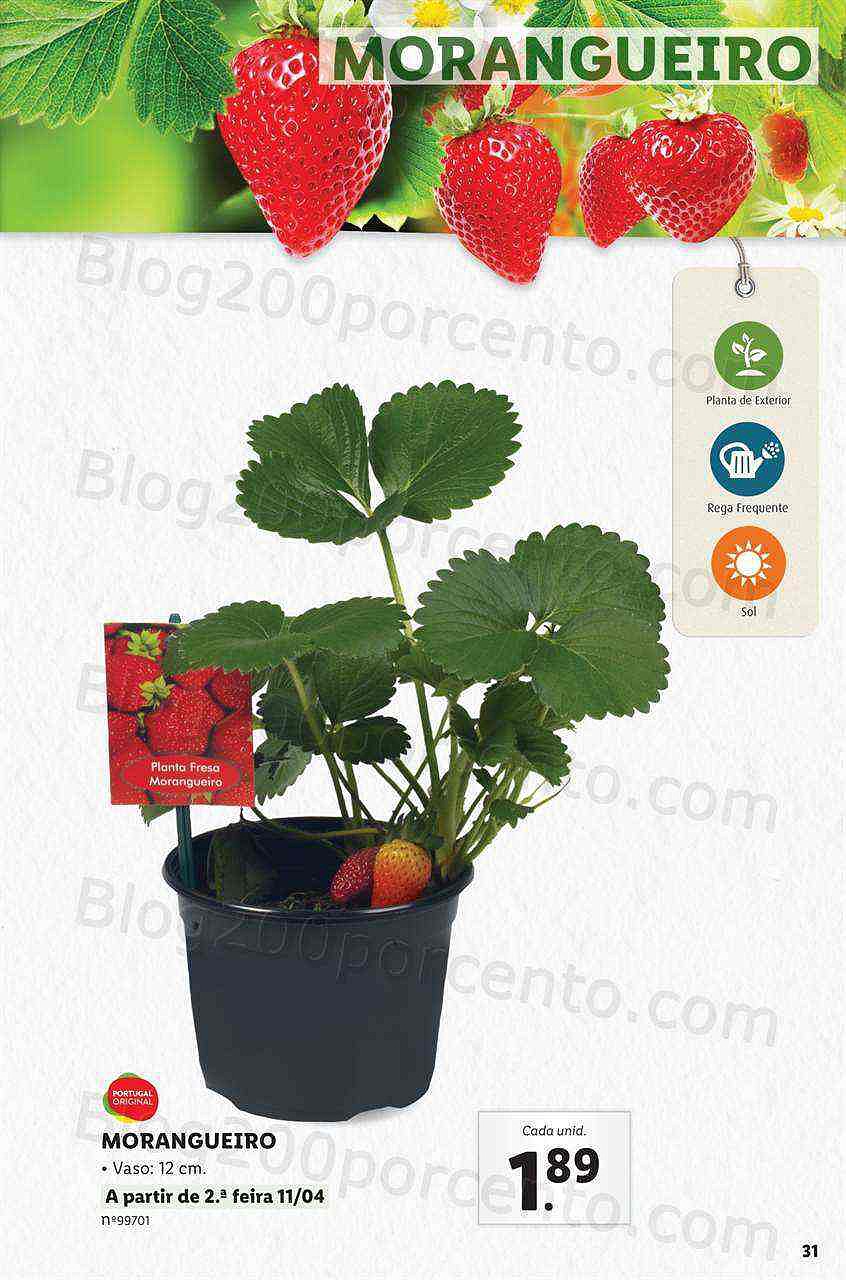 Antevisão Folheto LIDL Jardinagem Mercado de Plantas 4 abril
