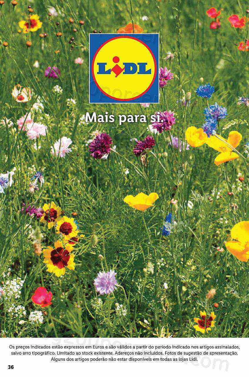 Antevisão Folheto LIDL Especial Jardinagem a partir de 24 abril