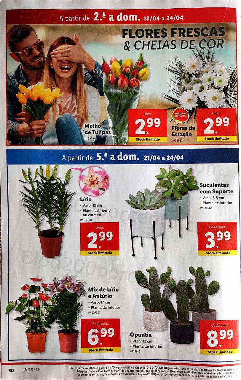 Antevisão Folheto LIDL Promoções de 18 a 24 abril