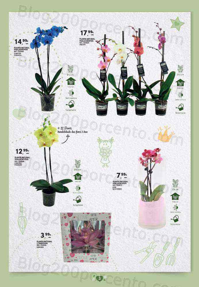 Antevisão Folheto CONTINENTE Dia da Mãe 19 abril a 1 maio