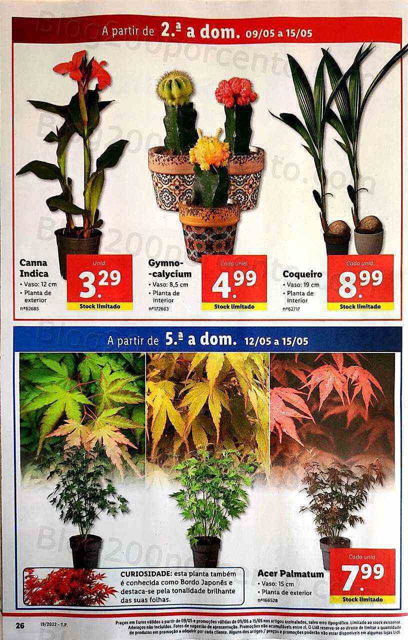 Antevisão Folheto LIDL Promoções de 9 a 15 maio